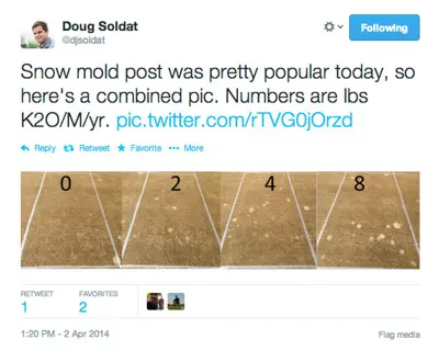 Snow mold and potassium