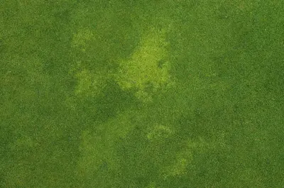 Poa biotype