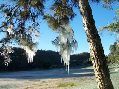 Sprinkler Malfunction