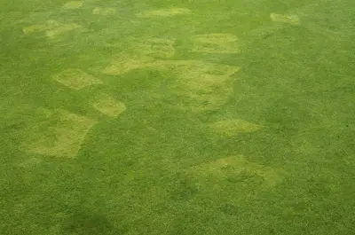 Hazards of spot spraying