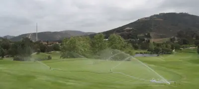 Leaching of G2 bentgrass greens