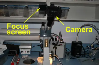 Martin Microscope camera adapter