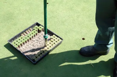 Ball mark repair plugger