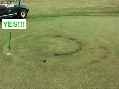 Fairy ring sample submission