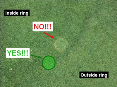 Fairy ring sample submission