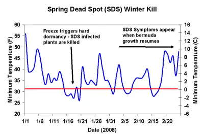 The impact of weather on spring dead spot
