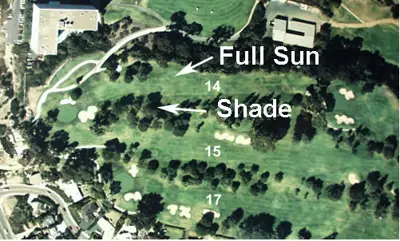 Shade Evaluation