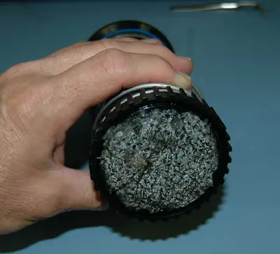 Plugging of heads with bryozoan