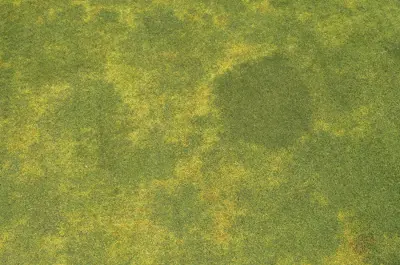 Drought response