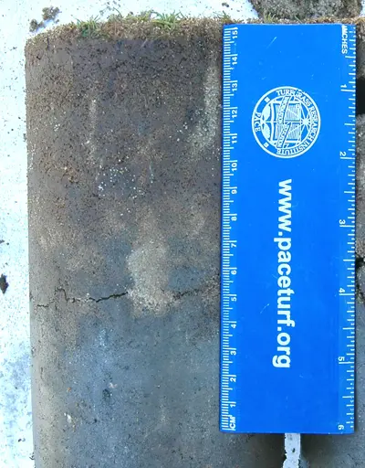 Drainage problem