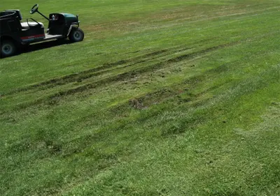 Ruts