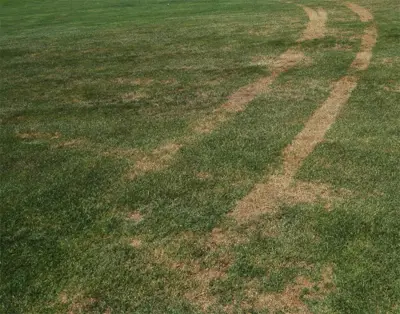 Drought
