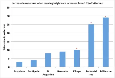 Water use and mowing height