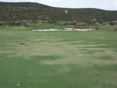 Localized dry spot