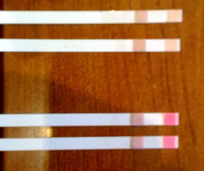 Nitrogen test strips