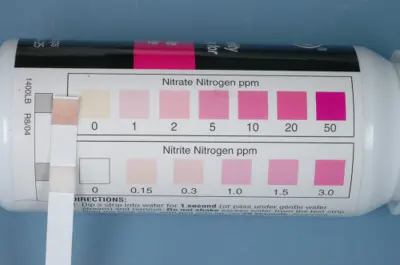Low nitrogen and rust