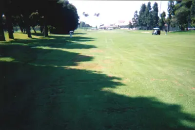 Effect of shade