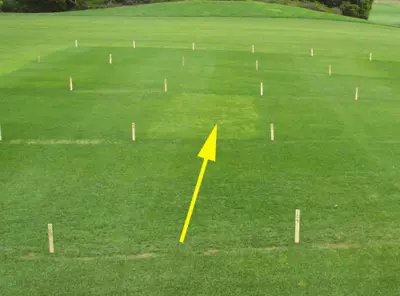 Velocity on overseeded fairway