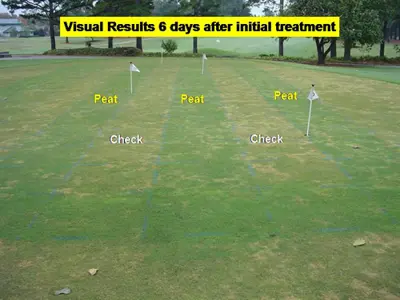 Ring disease