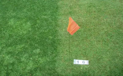 Improved transition with sulfonylurea herbicides