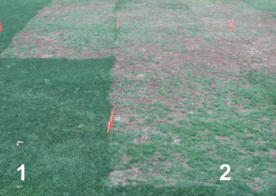 Pitfalls of using sulfonylurea herbicides