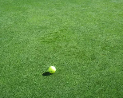 Bumpy poa green