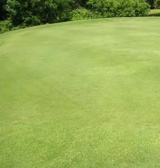 bermuda normal nitrogen