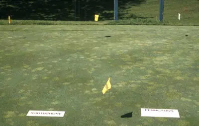 Differential poa invasion in two bentgrass varieties
