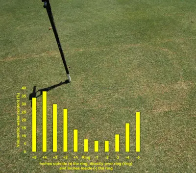 Fairy ring and soil moisture content