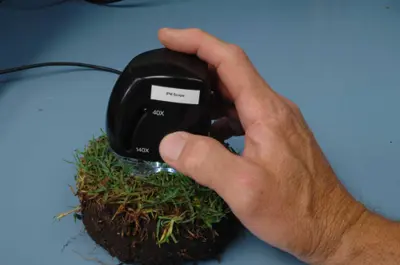 IPM scope