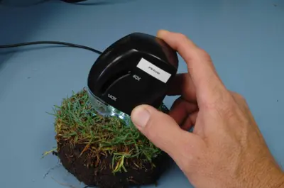 IPM scope