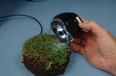 IPM scope