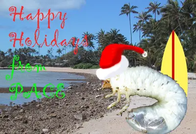 Happy Holidays from PACE