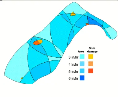 Irrigation distribution vs. chafer damage