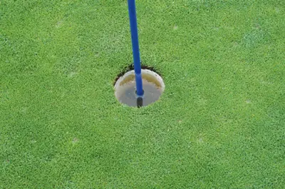 Drainage problem