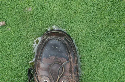 Drainage problem