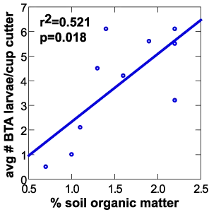 Black turfgrass ataenius vs. % organic matter