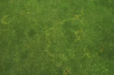Brown ring patch