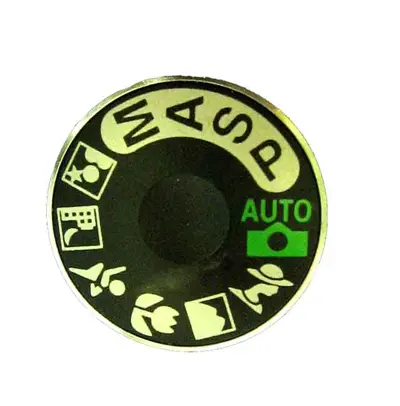 Digital Camera Controls