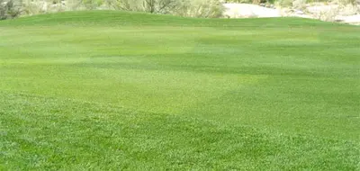 Effect of Velocity on overseeded ryegrass fairways