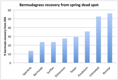 Spring dead spot and herbicides