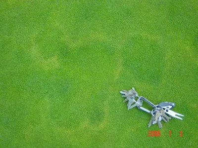 Aftermath of brown ring patch