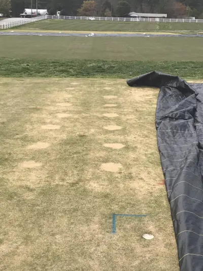 Spring dead spot under turf covers