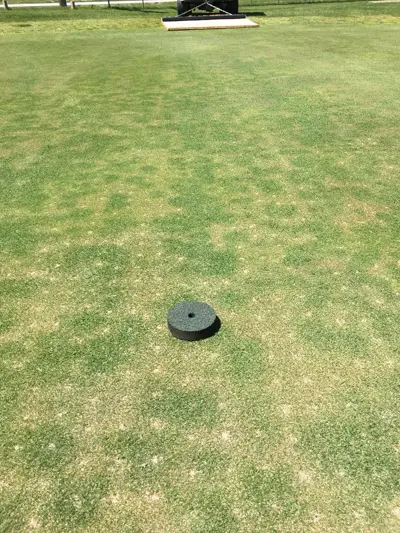 Green spots