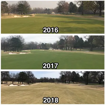 Wichita spring green-up