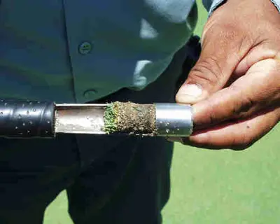 Ball mark repair 1