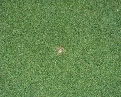 Ball mark repair 2