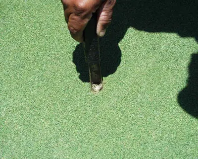 Ball mark repair 3
