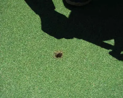 Ball mark 4