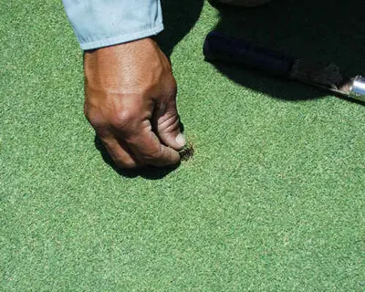 Ball mark repair 5